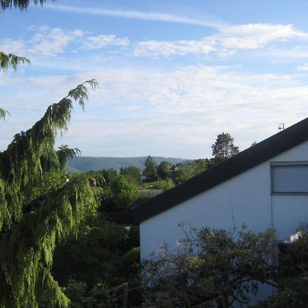 Haus Am Weinberg Apartment Erzingen Екстериор снимка