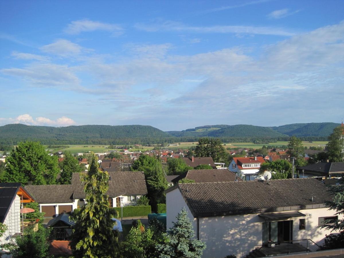 Haus Am Weinberg Apartment Erzingen Екстериор снимка